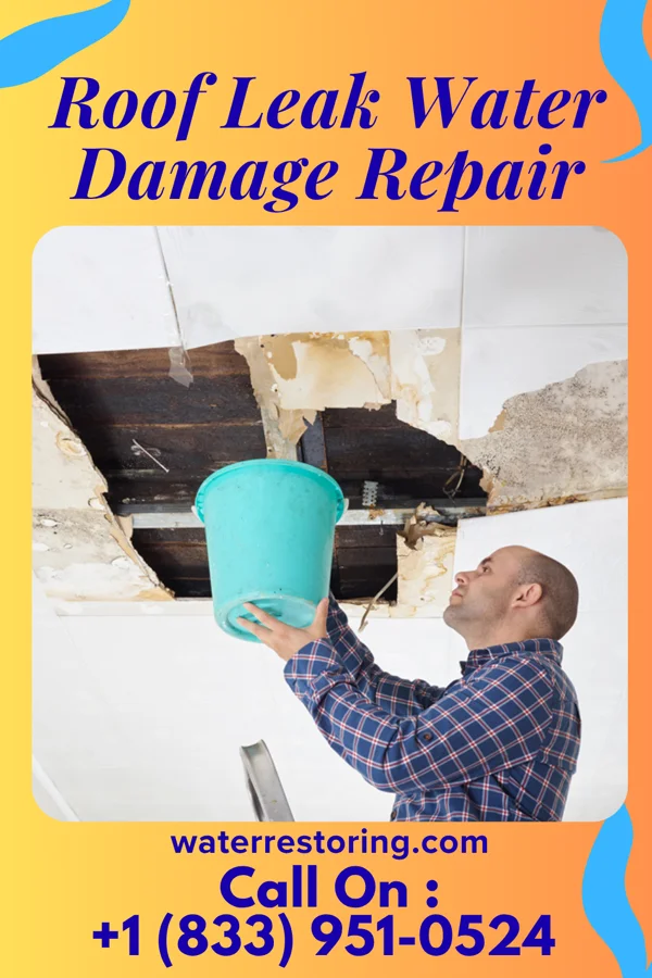 Roof Leak Water Damage Repair in Filley, NE